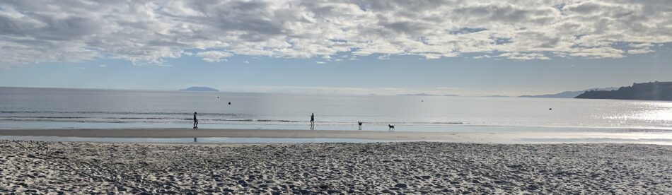 The Ebb and Flow of Onetangi Beach 