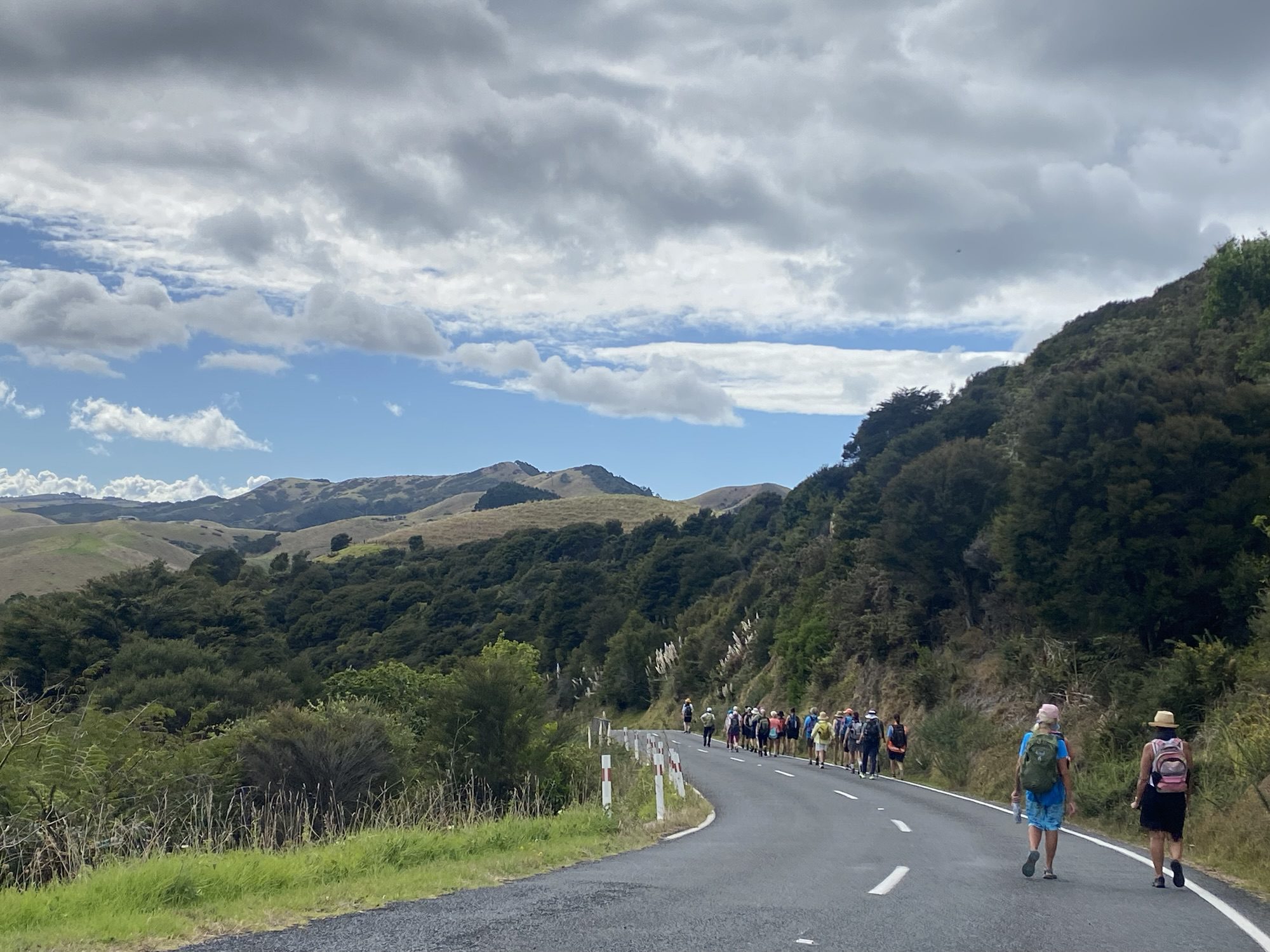 Waiheke – A rejuvenating walking break